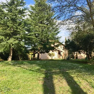 Bauernhof Bethsaid Fauglia